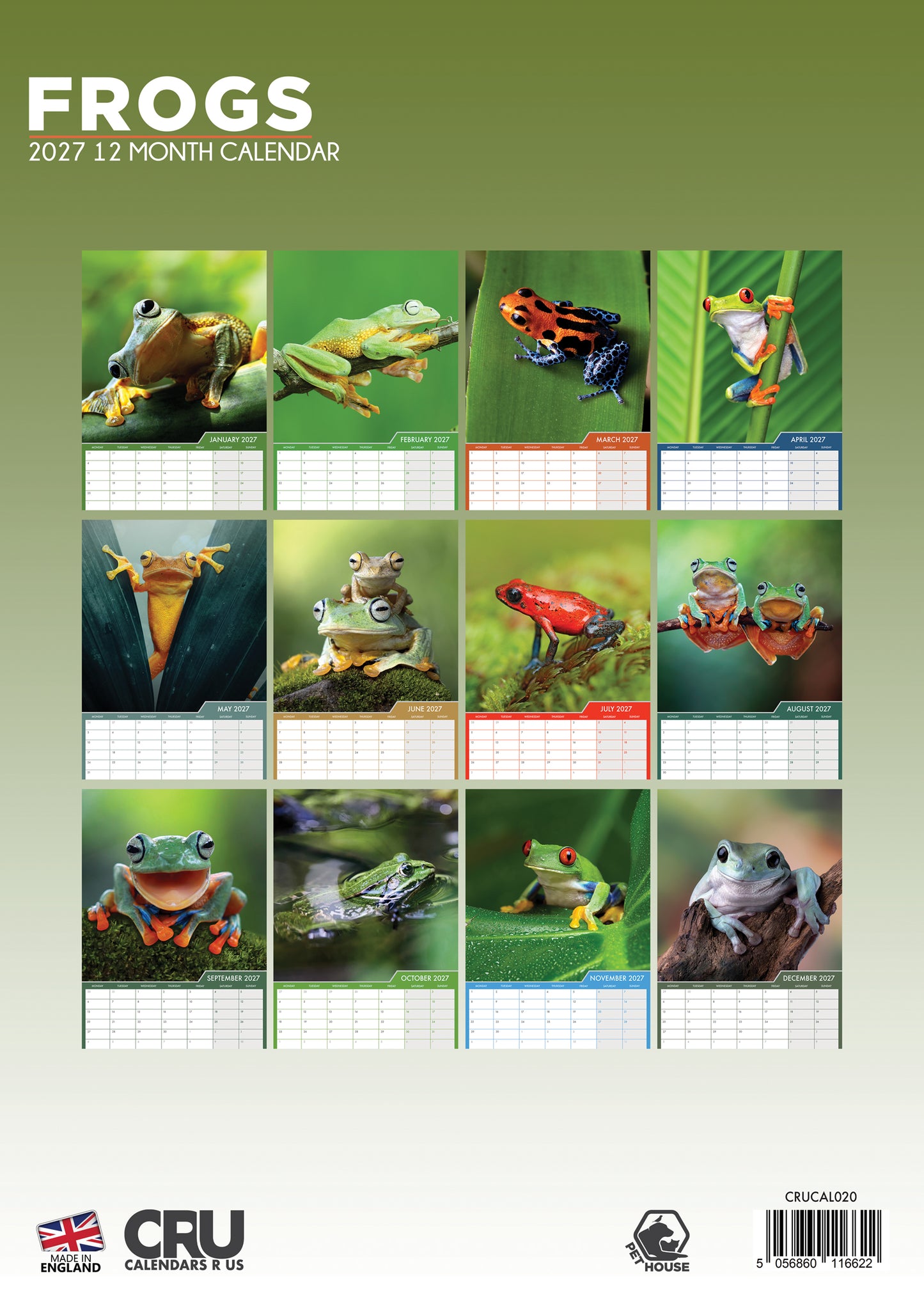Frogs - A3 Calendar 2027