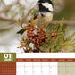 Garden Birds Calendar 2025
