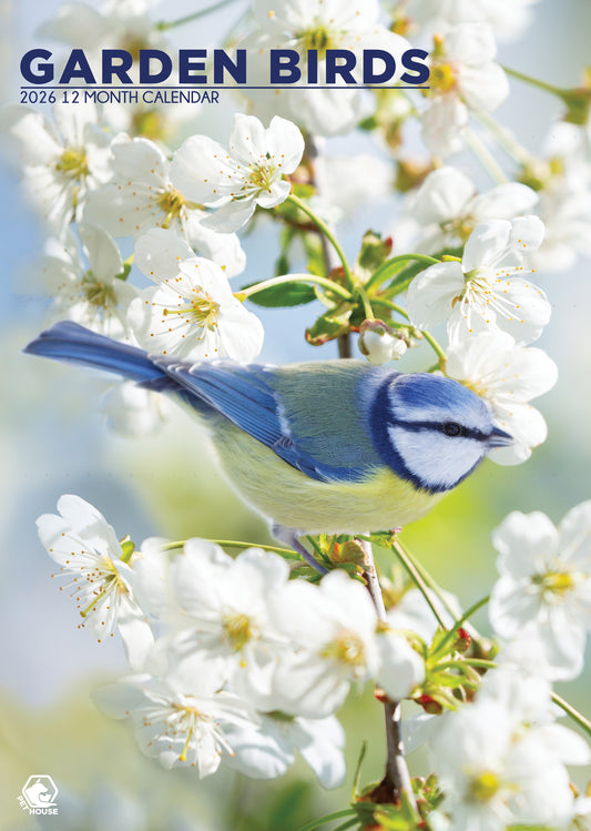 Garden Birds - A3 Calendar 2026