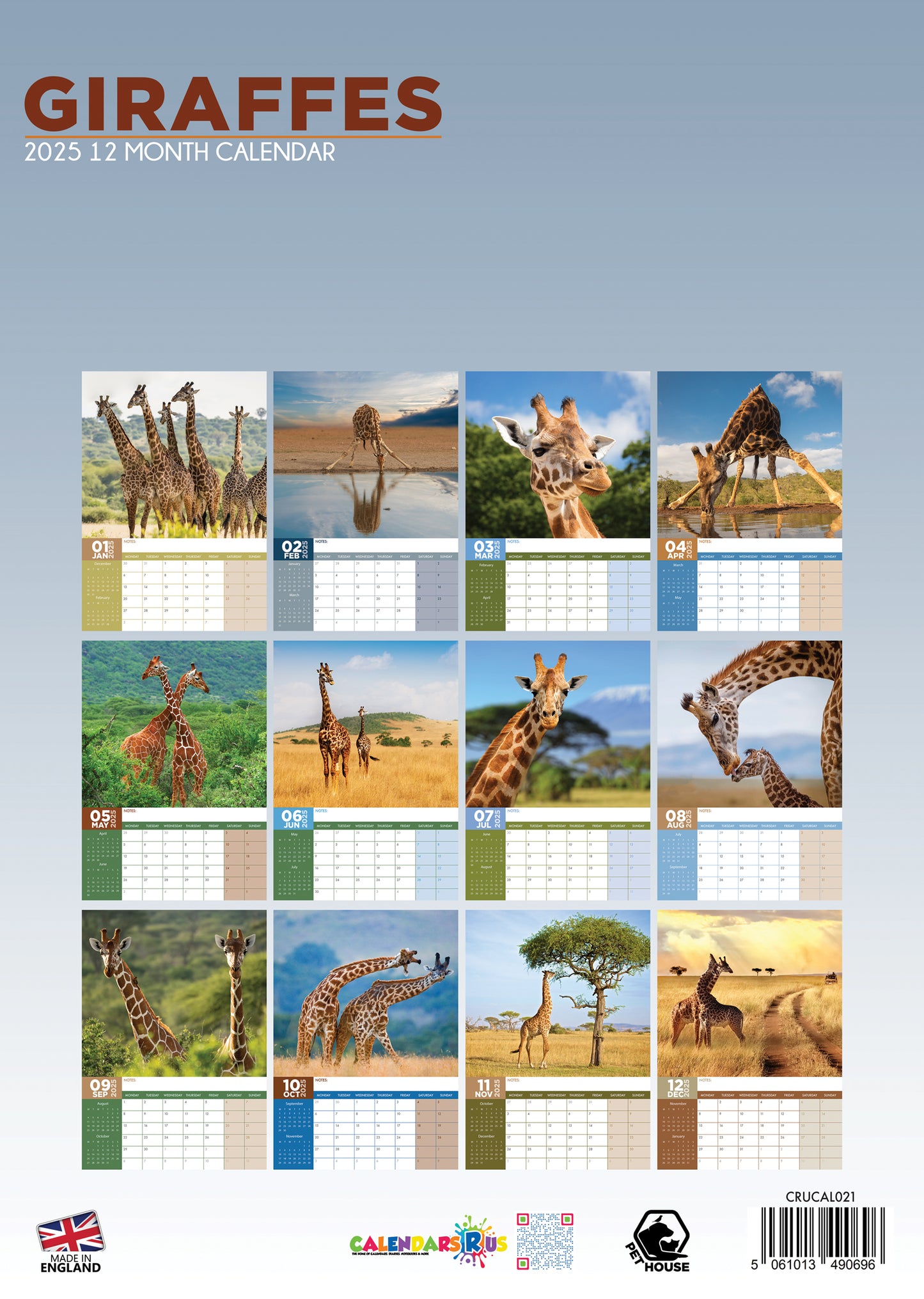 Giraffes Calendar 2025