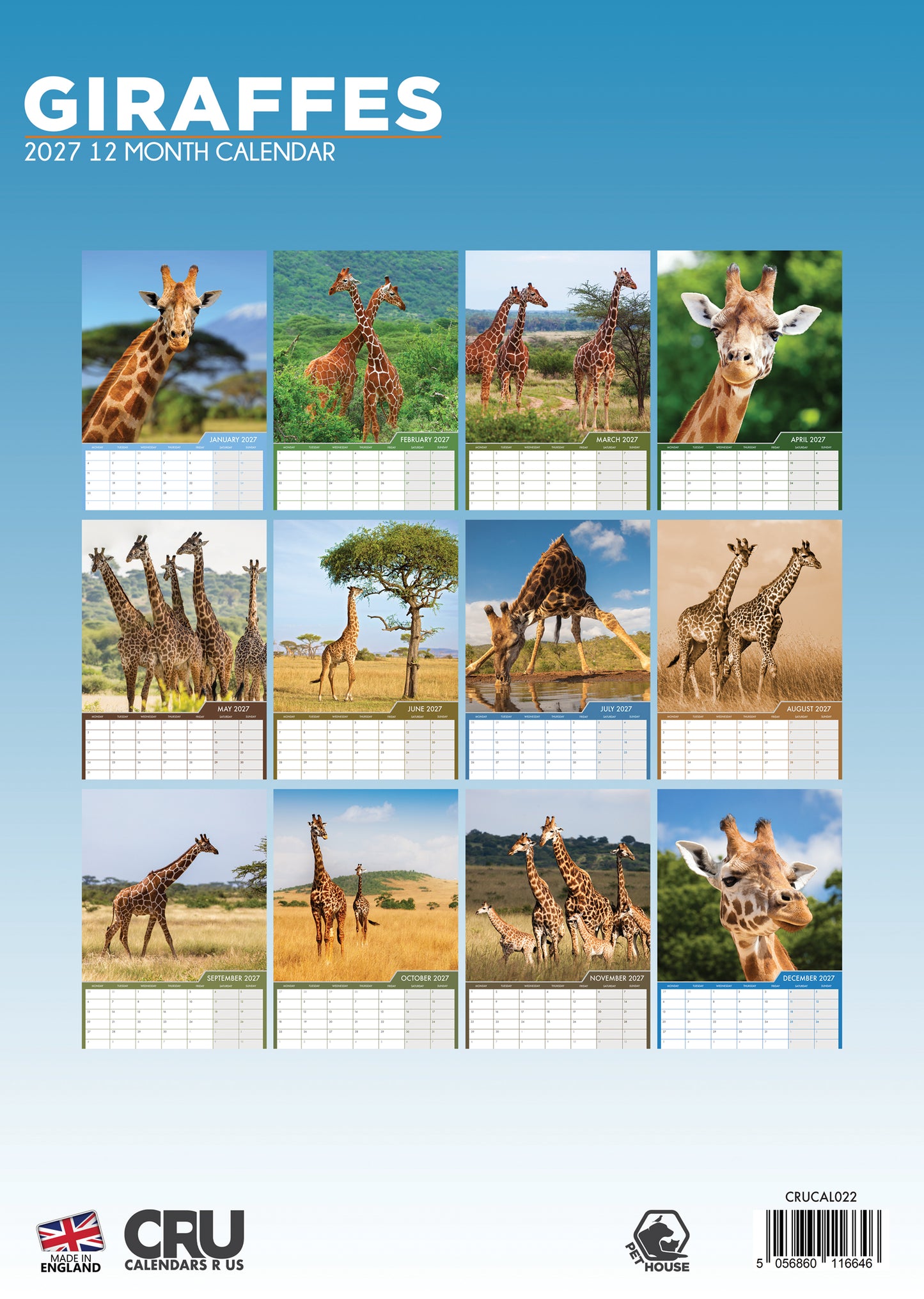 Giraffes - A3 Calendar 2027