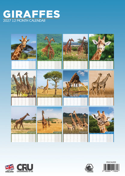 Giraffes - A3 Calendar 2027