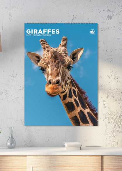 Giraffes - A3 Calendar 2027