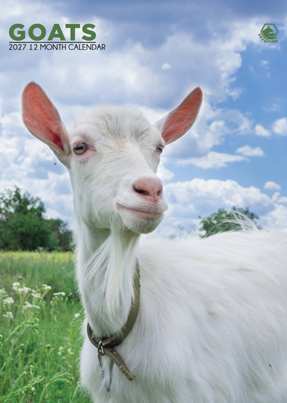 Goats - A3 Calendar 2027