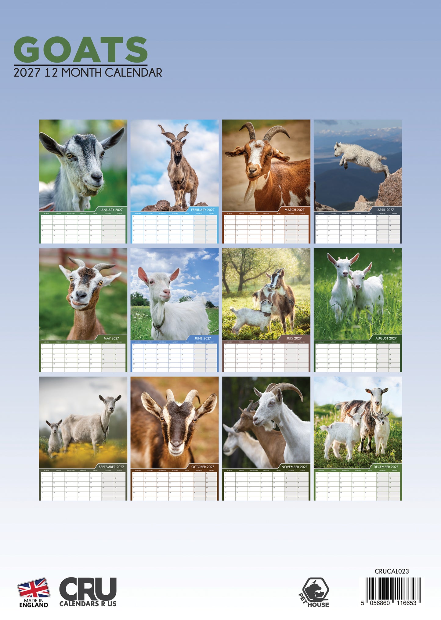 Goats - A3 Calendar 2027