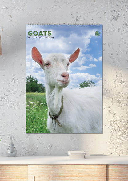 Goats - A3 Calendar 2027