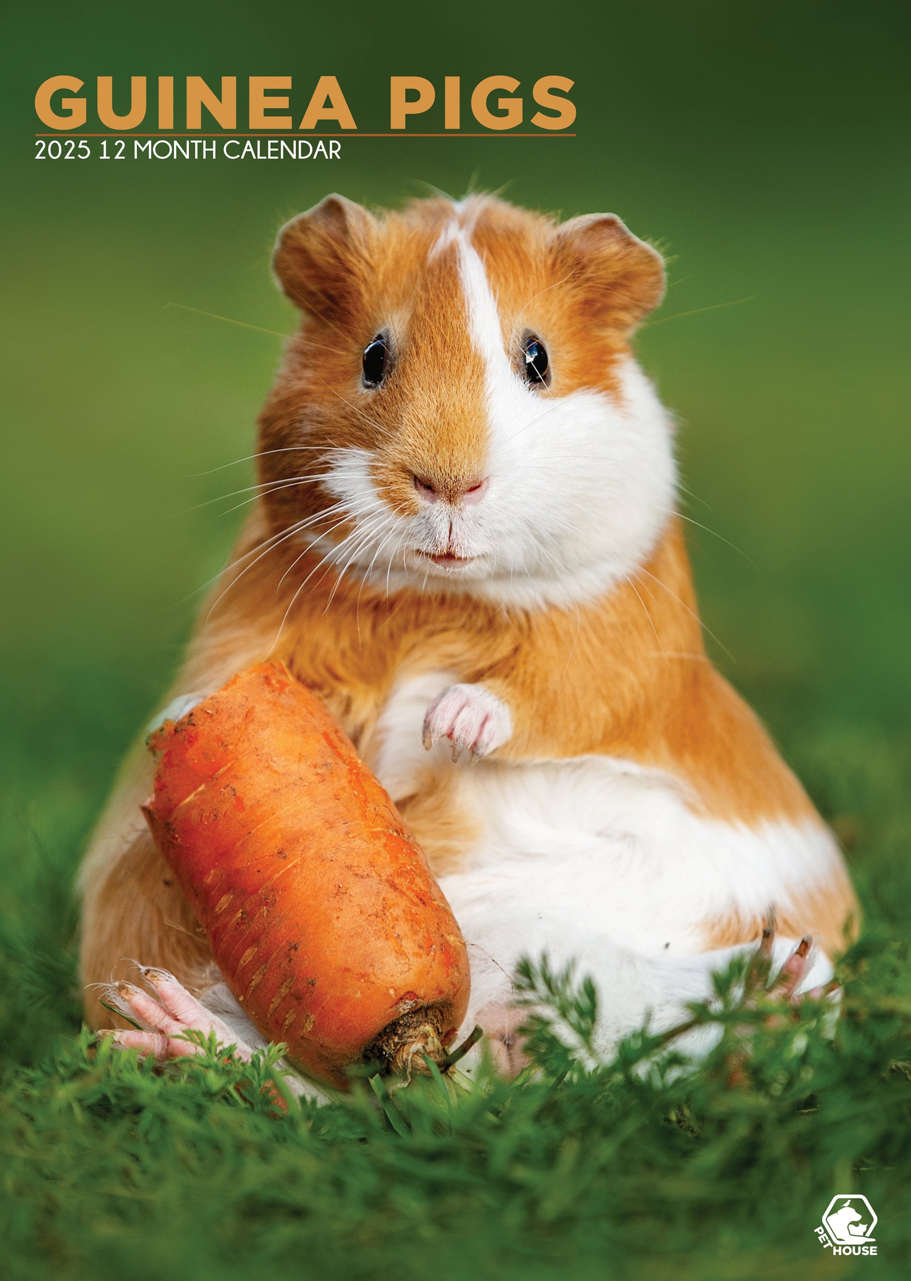 Guinea Pigs Calendar 2025 CalendarsRus