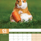 Guinea Pigs Calendar 2025