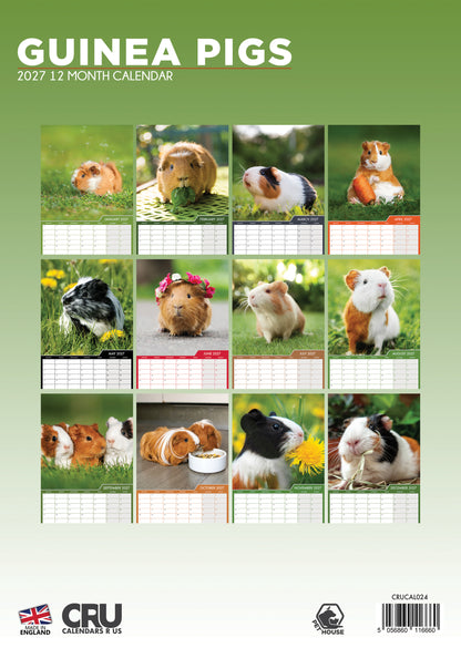 Guinea Pigs - A3 Calendar 2027