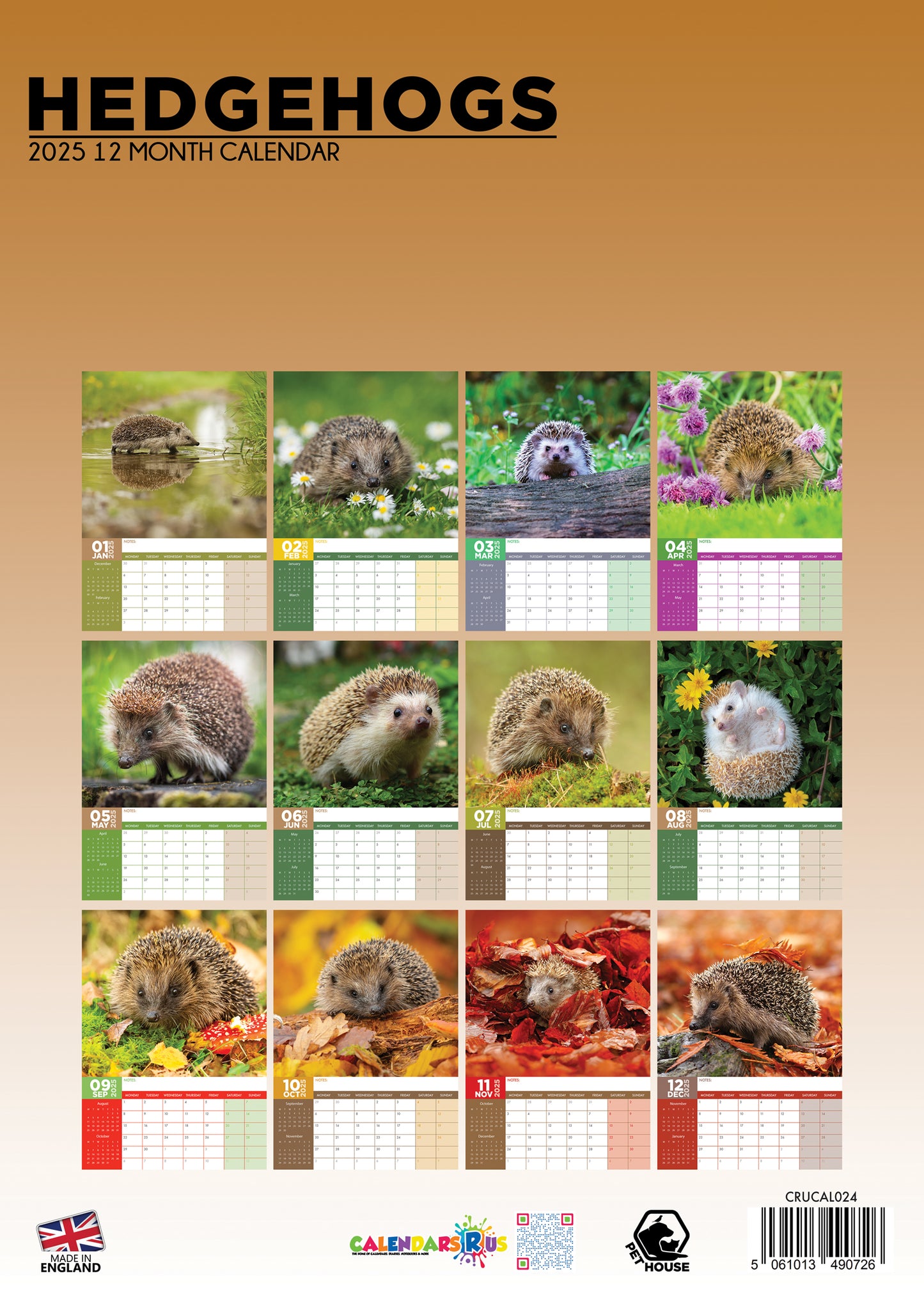 Hedgehogs Calendar 2025