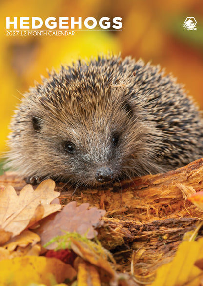 Hedgehogs - A3 Calendar 2027