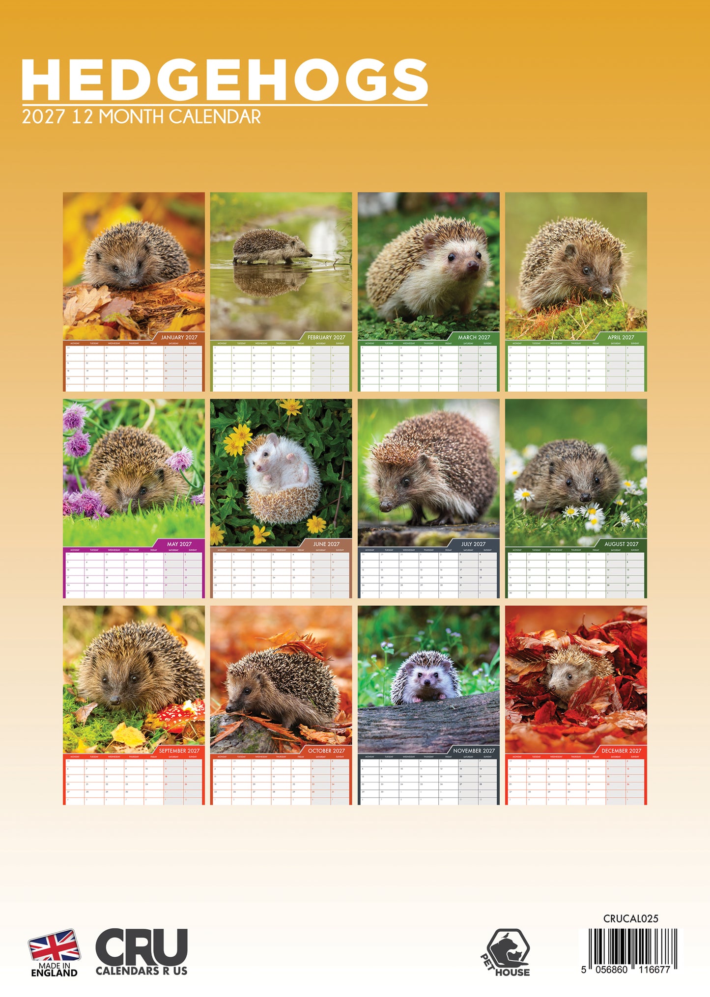 Hedgehogs - A3 Calendar 2027