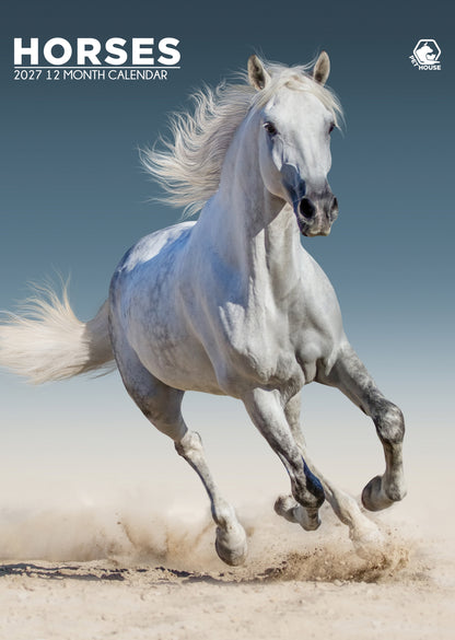 Horses - A3 Calendar 2027