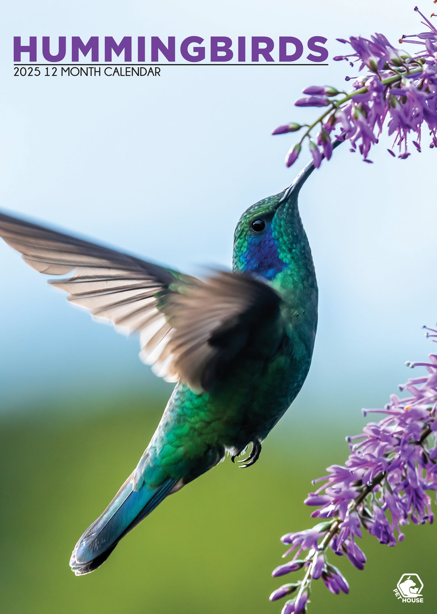 Hummingbirds Calendar 2025