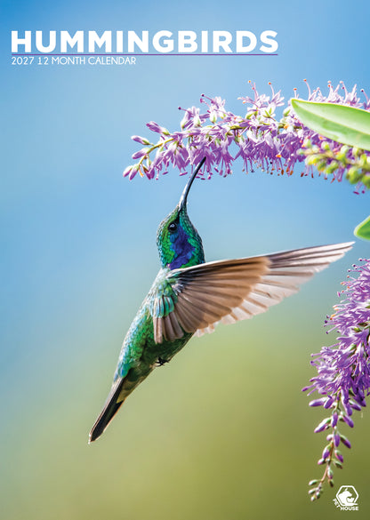 Hummingbirds - A3 Calendar 2027