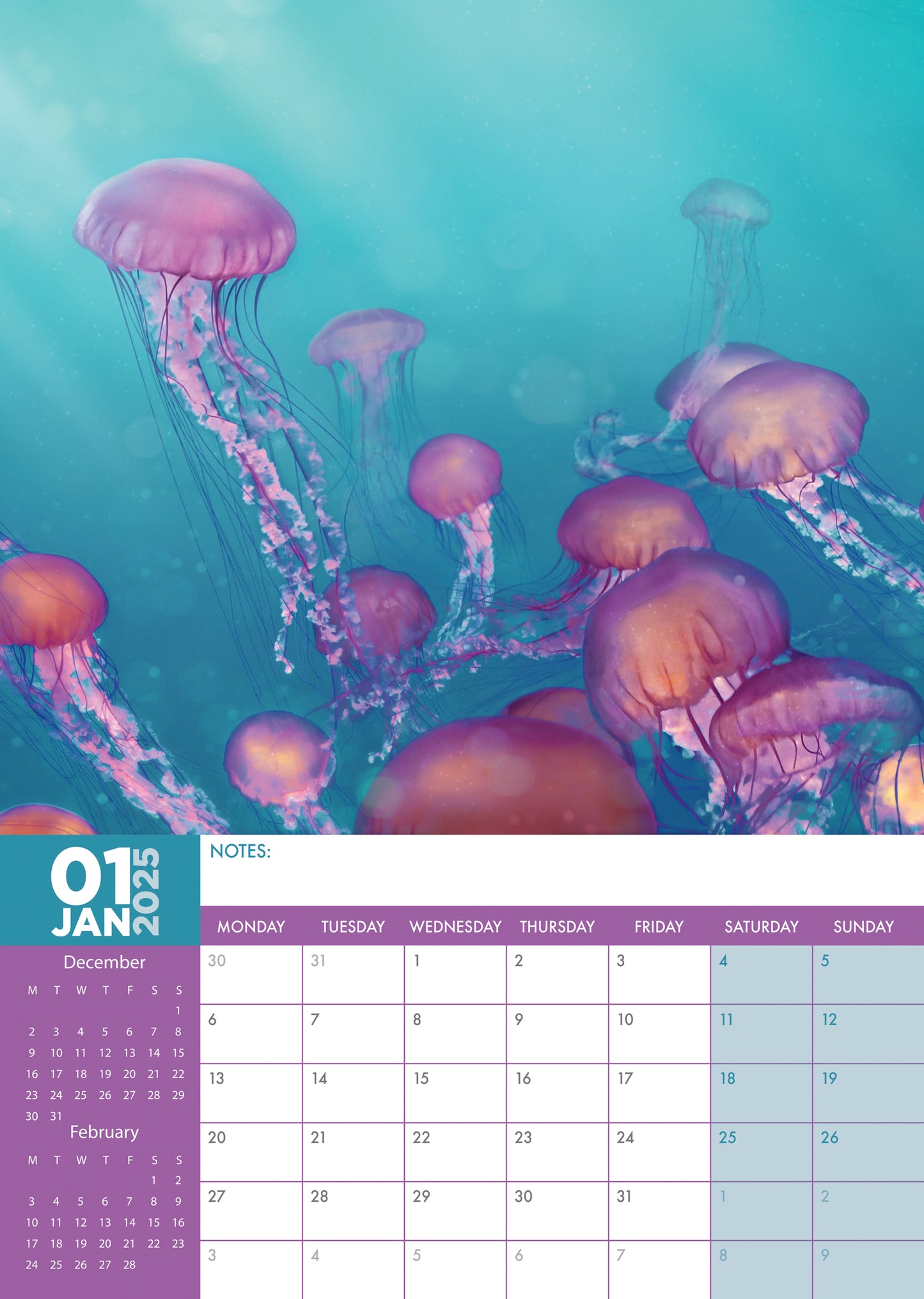 Jellyfish Calendar 2025