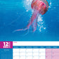 Jellyfish Calendar 2025
