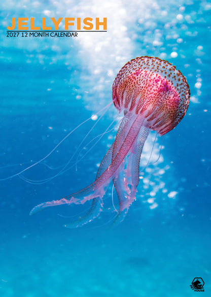 Jellyfish - A3 Calendar 2027