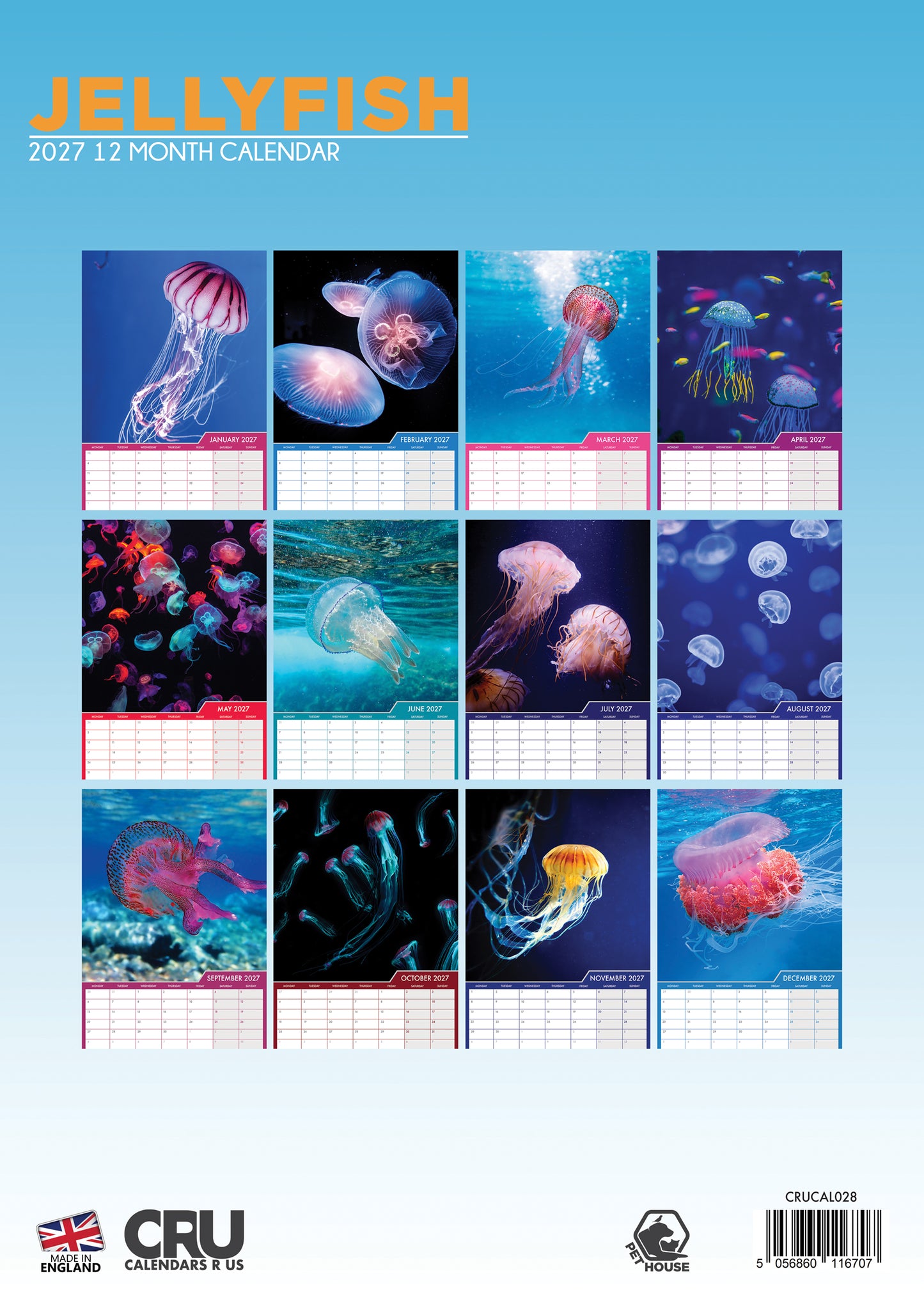 Jellyfish - A3 Calendar 2027