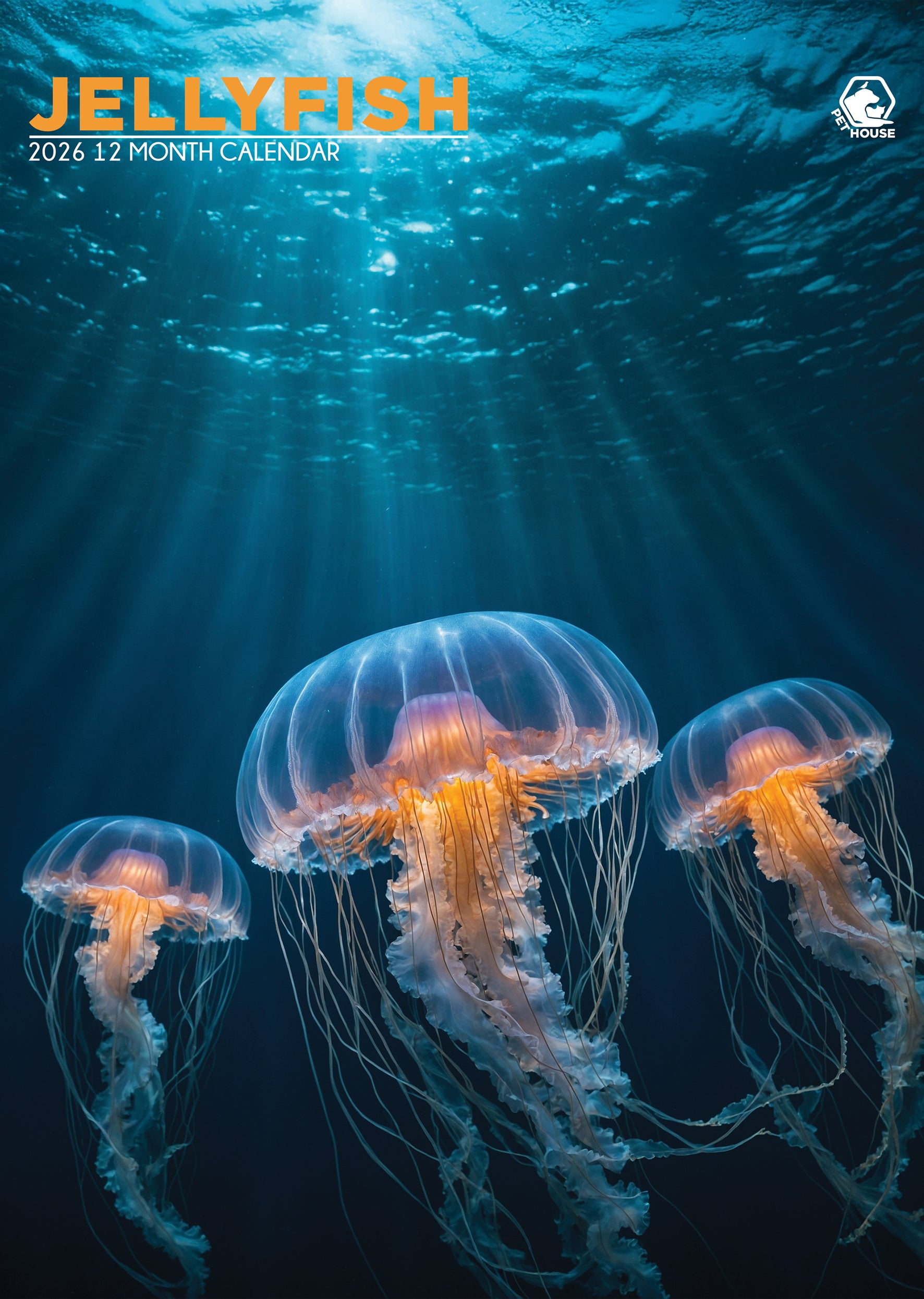 Jellyfish A3 Calendar 2026 CalendarsRus