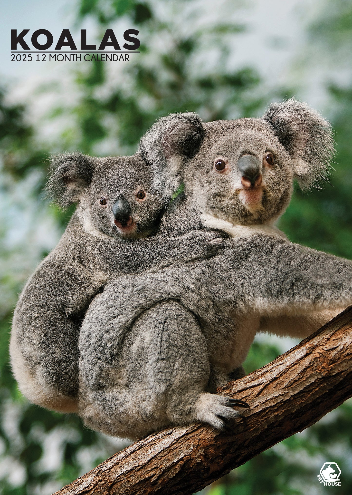 Koalas Calendar 2025