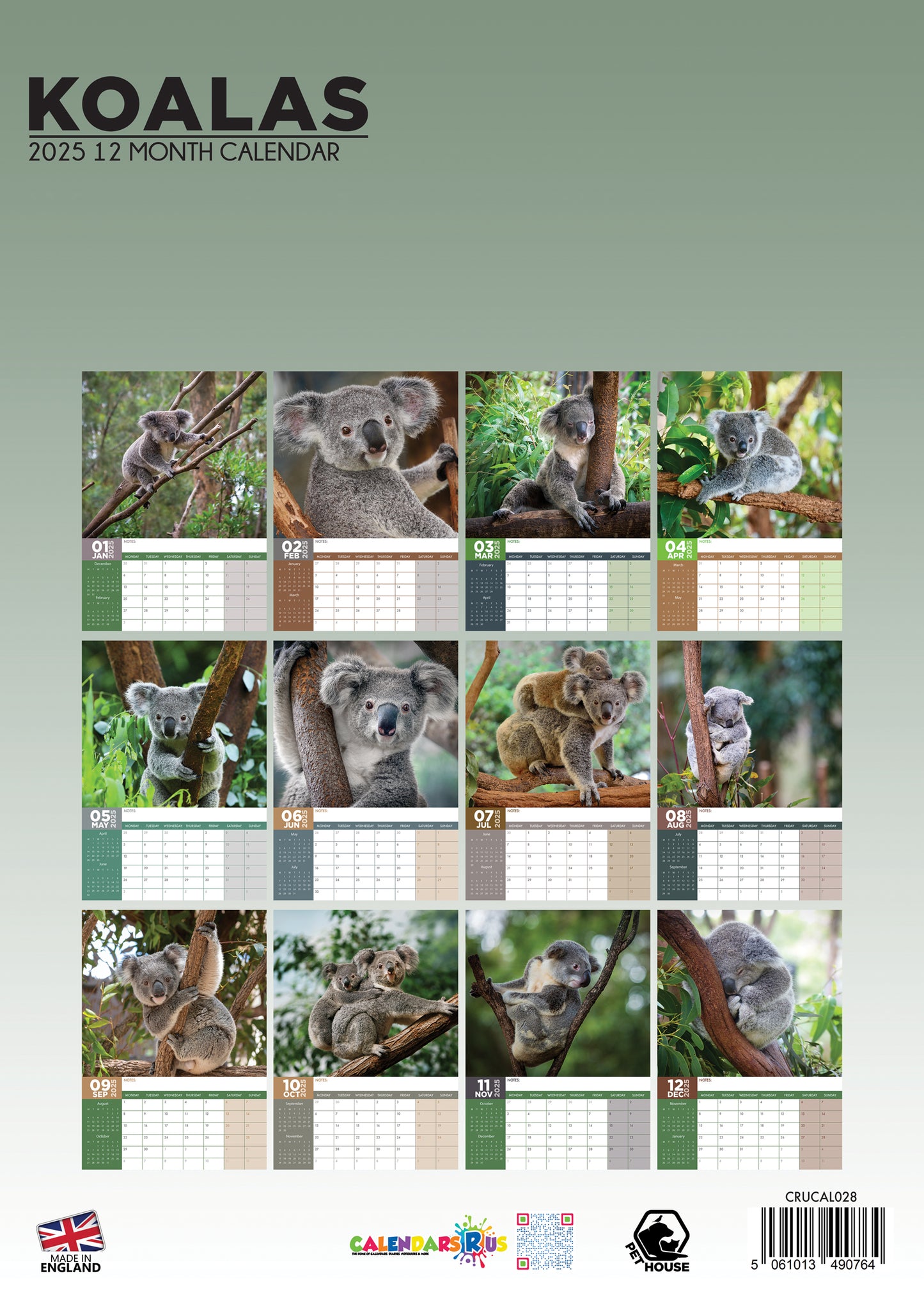 Koalas Calendar 2025