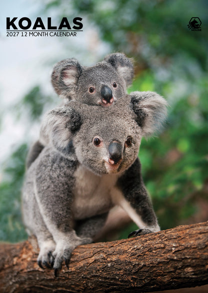 Koalas - A3 Calendar 2027