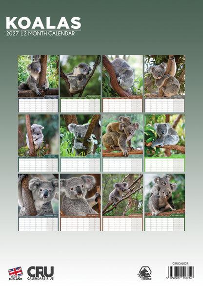 Koalas - A3 Calendar 2027