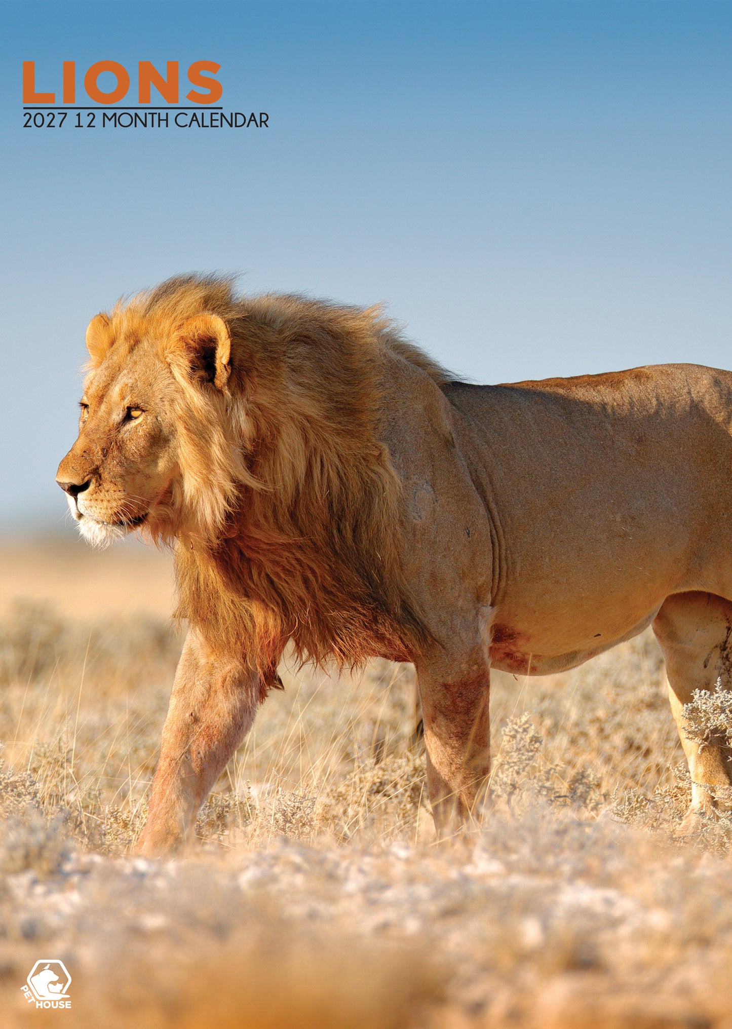 Lions - A3 Calendar 2027