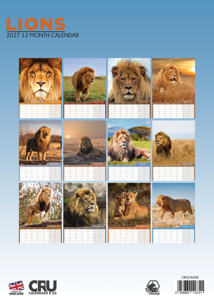 Lions - A3 Calendar 2027