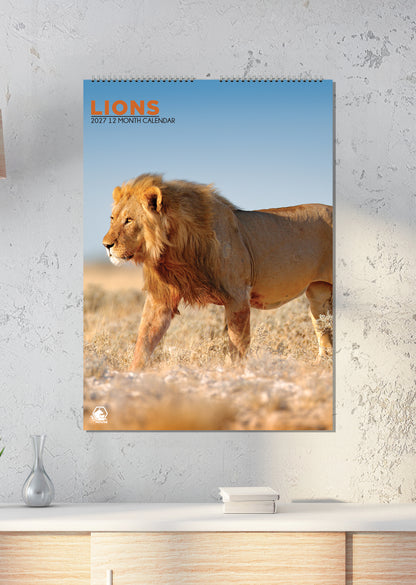 Lions - A3 Calendar 2027