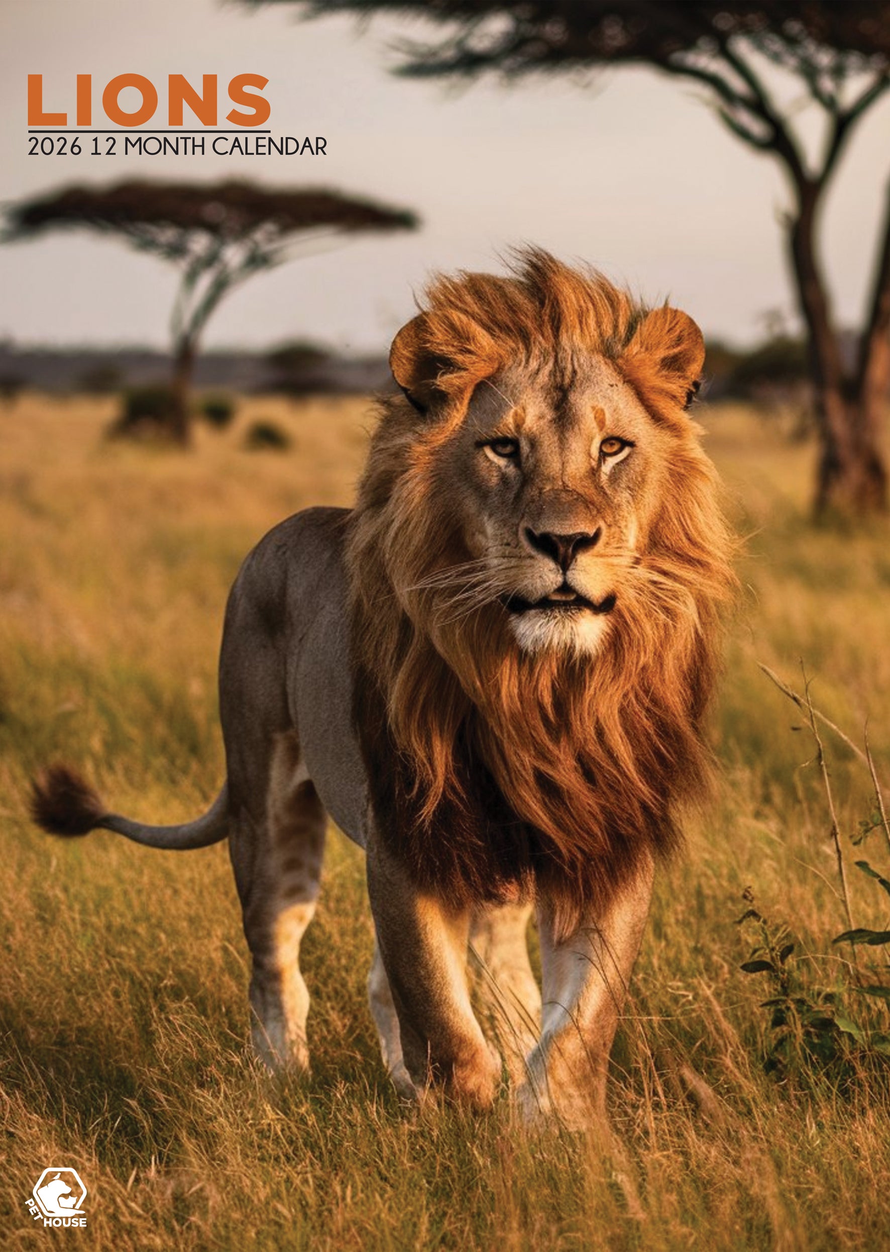 Lions A3 Calendar 2026 CalendarsRus