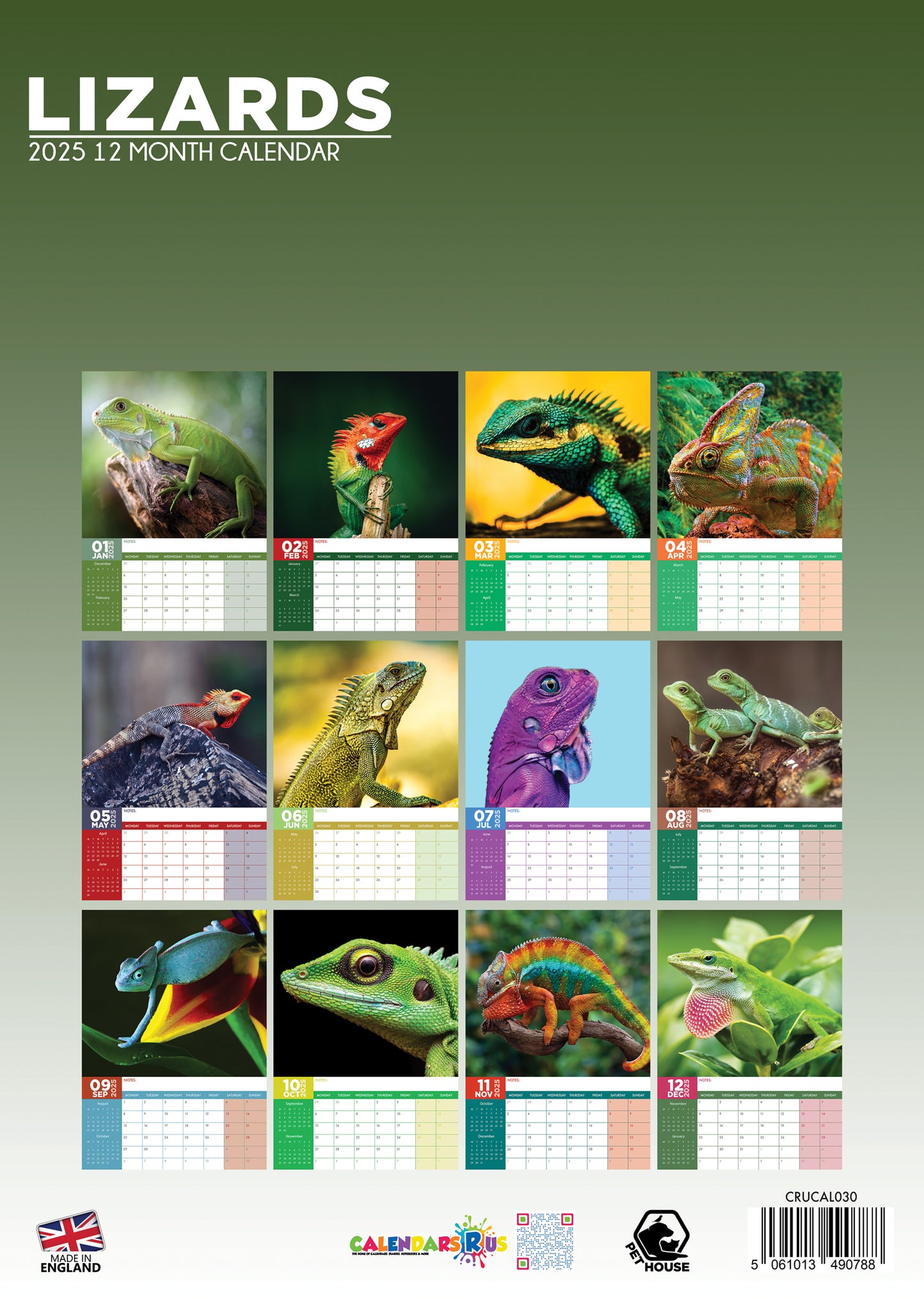 Lizards Calendar 2025