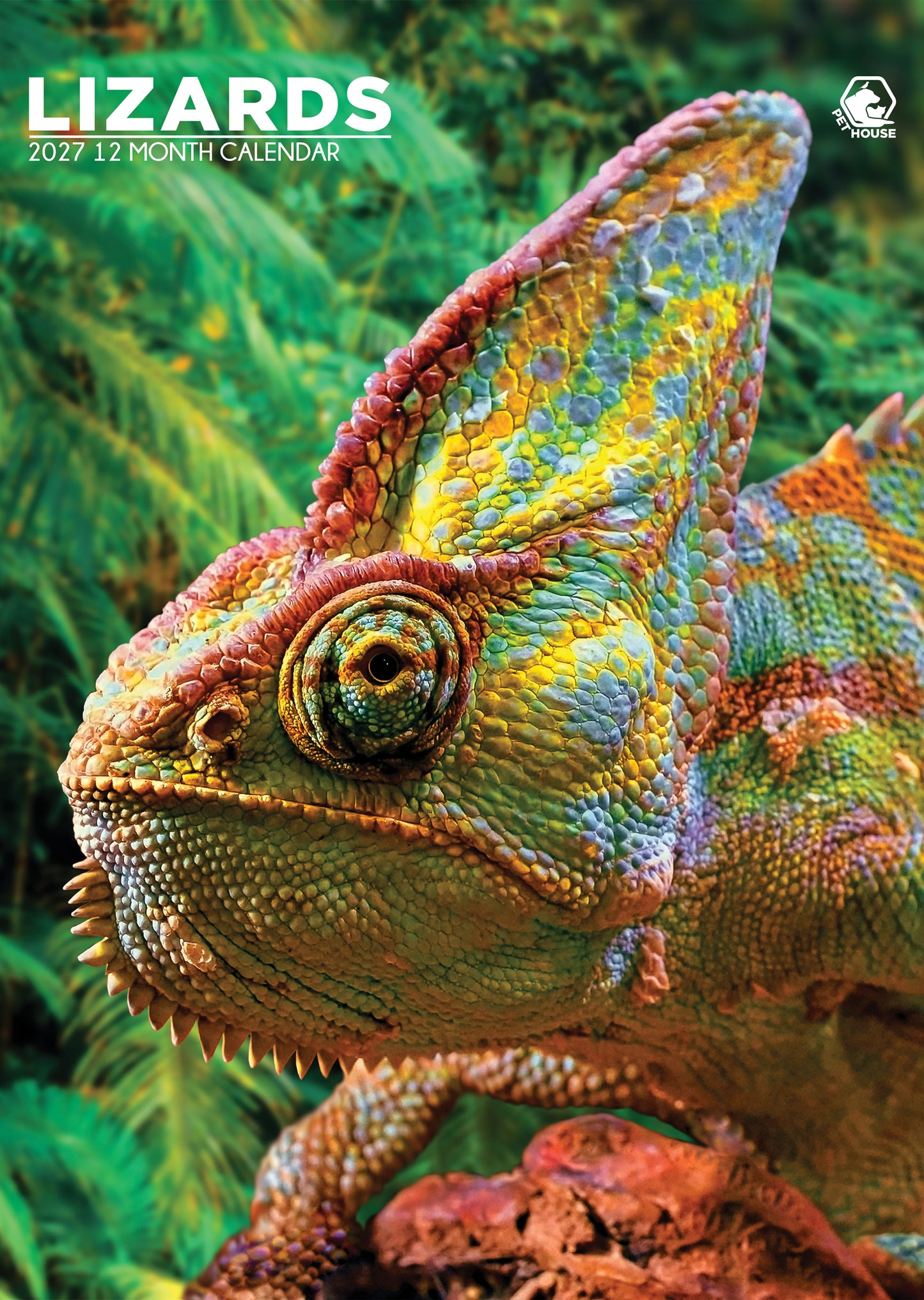 Lizards - A3 Calendar 2027