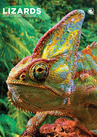 Lizards - A3 Calendar 2027