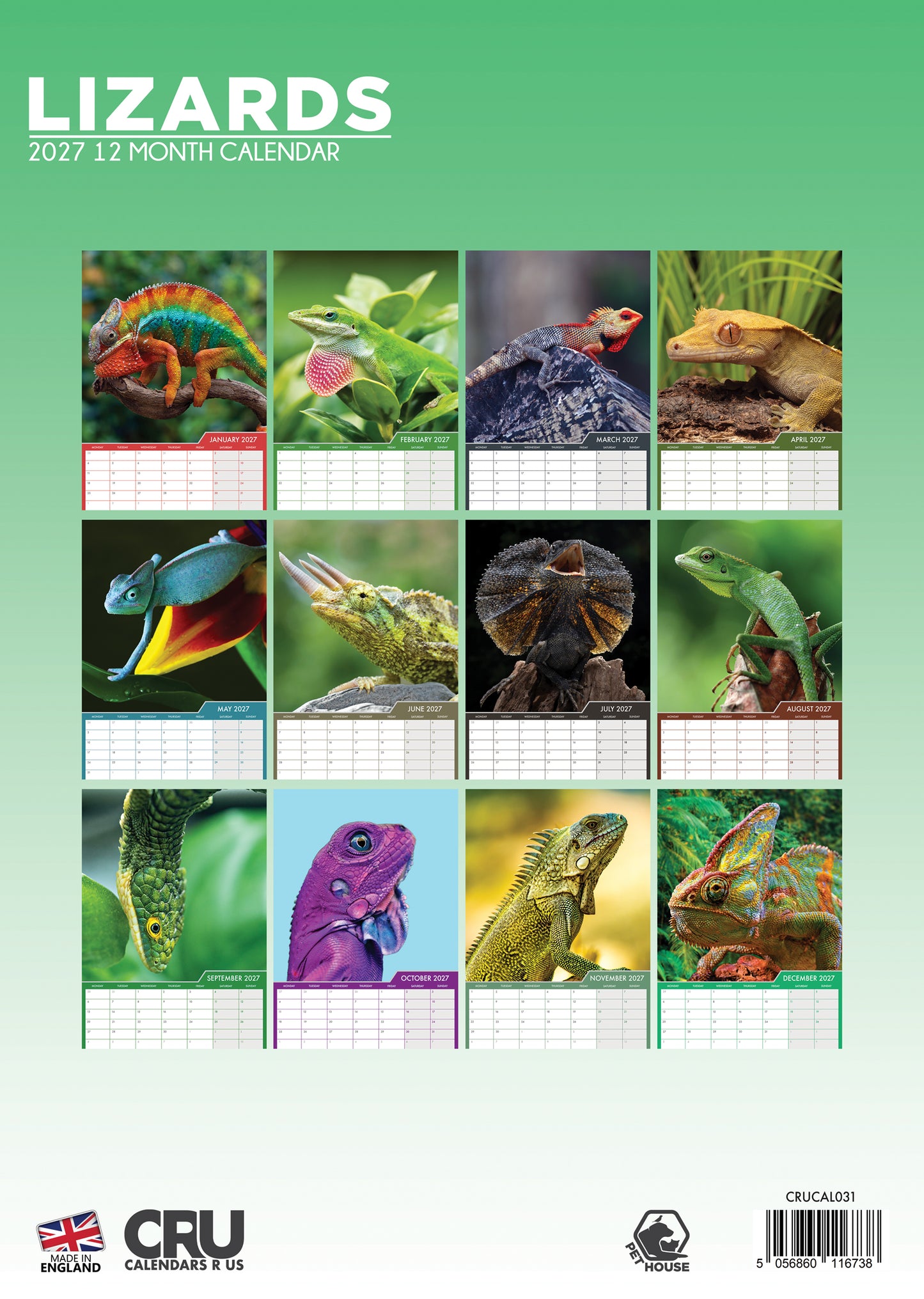 Lizards - A3 Calendar 2027