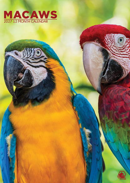 Macaws - A3 Calendar 2027
