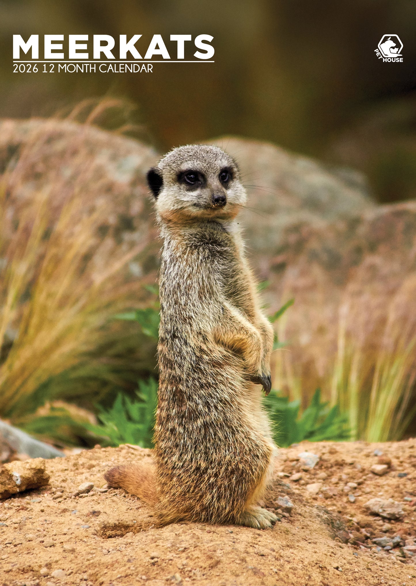 Meerkats - A3 Wholesale