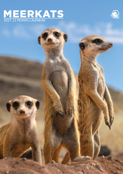 Meerkats - A3 Calendar 2027
