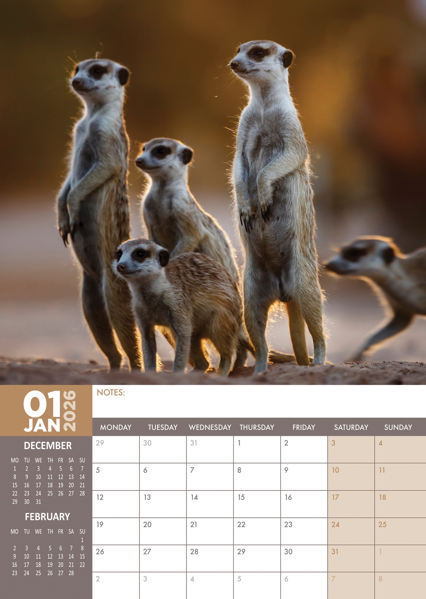 Meerkats - A3 Calendar 2026
