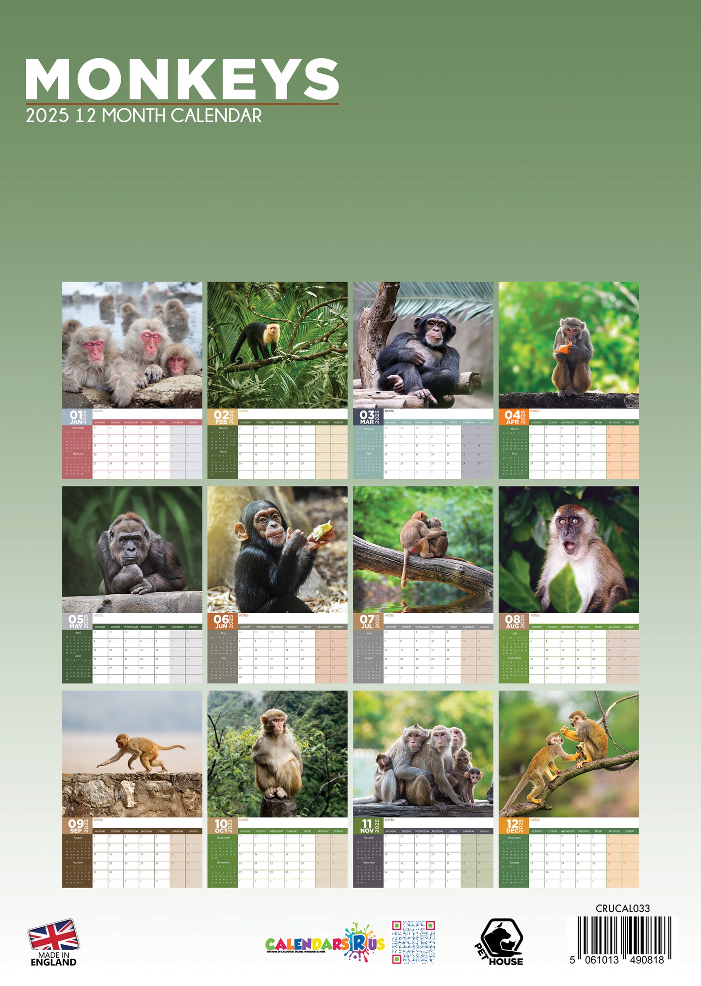 Monkeys Calendar 2024 CalendarsRus