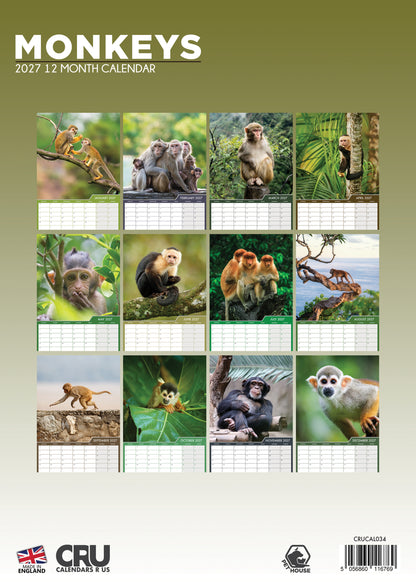 Monkeys - A3 Calendar 2027