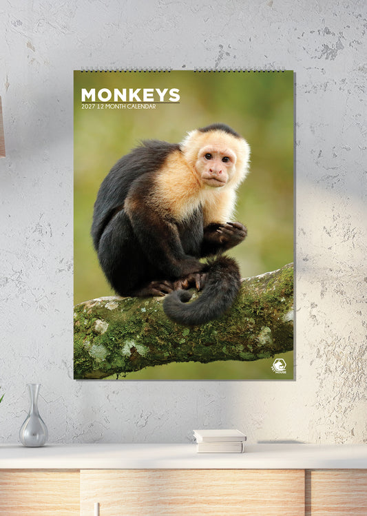 Monkeys - A3 Calendar 2027