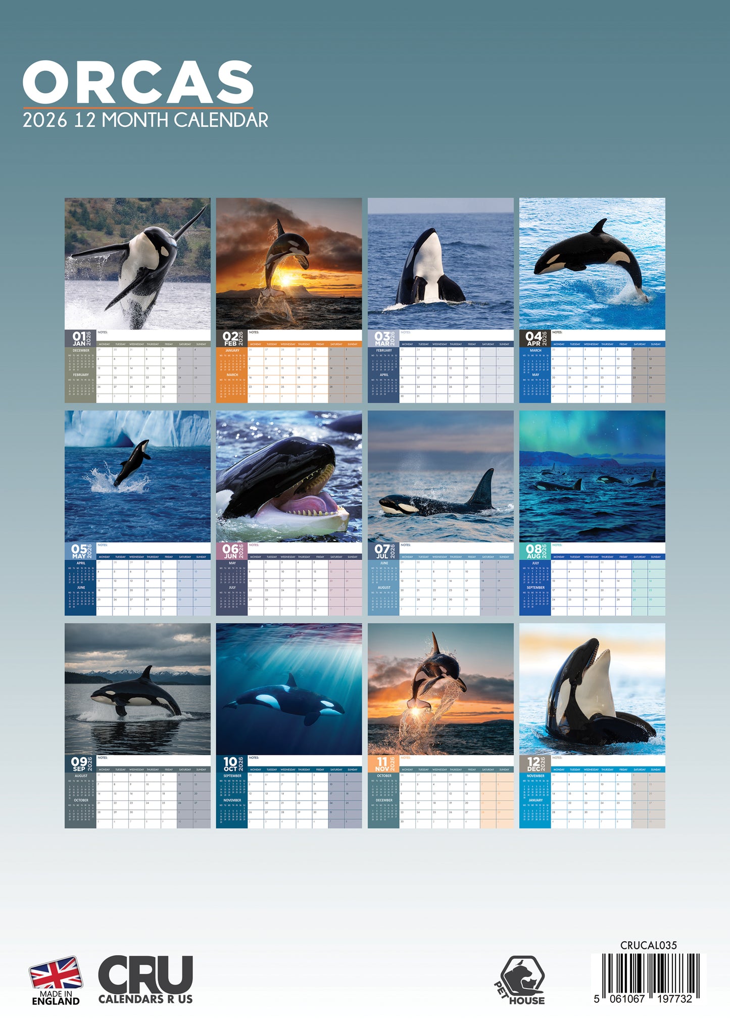 Orcas - A3 Calendar 2026