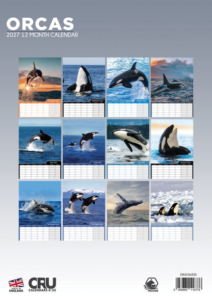Orcas - A3 Calendar 2027