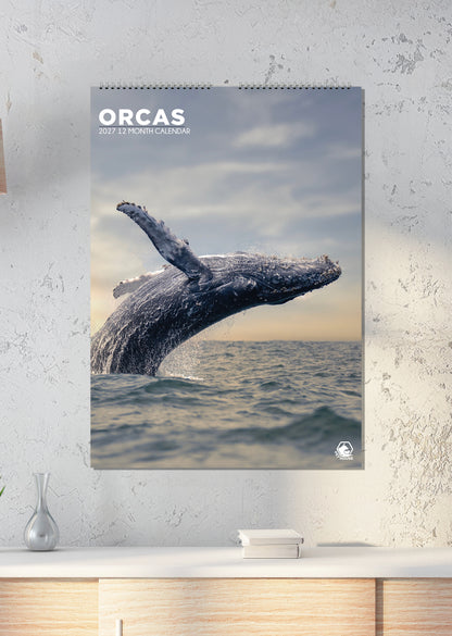 Orcas - A3 Calendar 2027