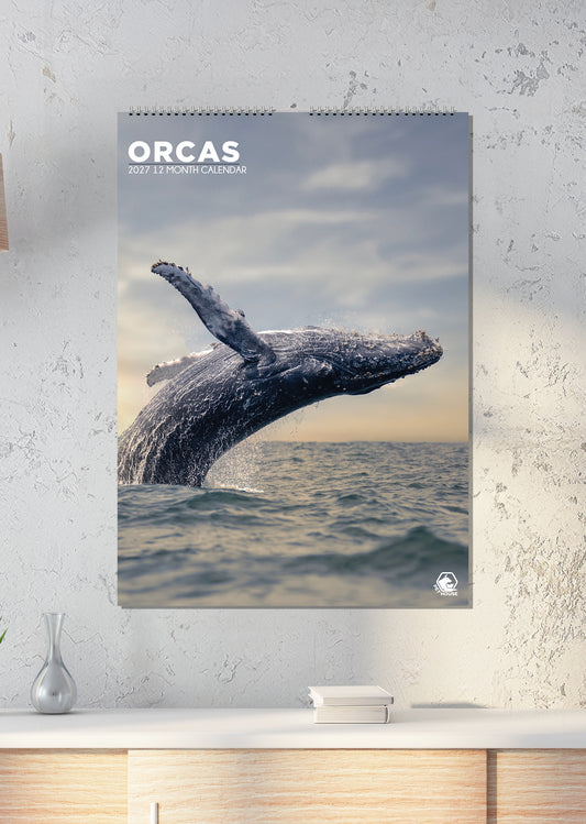 Orcas - A3 Calendar 2027