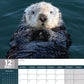 Otters Calendar 2025