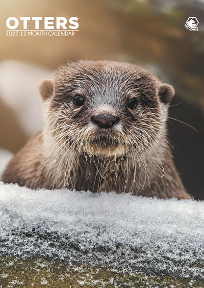 Otters - A3 Calendar 2027