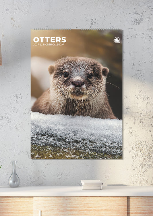 Otters - A3 Calendar 2027